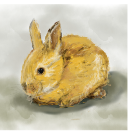 Ilustración Animalitos III-n