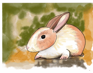 Ilustración Animalitos III-s