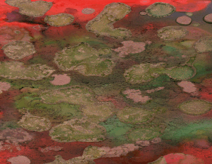 Ilustración Fondos y mensajes V-w