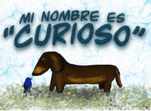 Ilustración Fondos y mensajes V-x